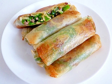 ピーマンとたけのこの春巻 青椒肉絲春巻